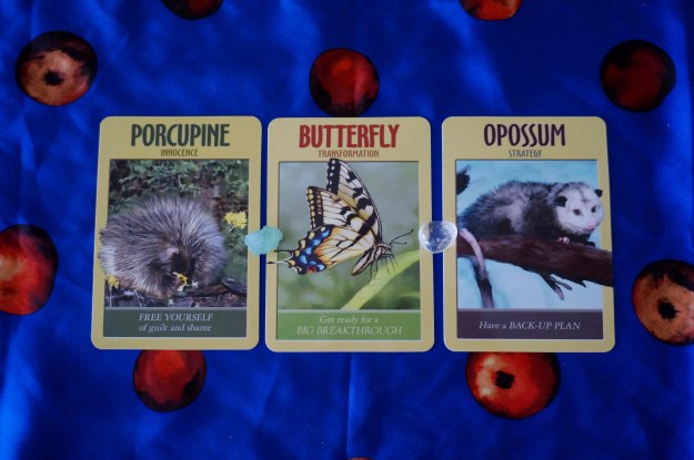Power Animal Oracle Cards - By Steven D. Farmer, PhD